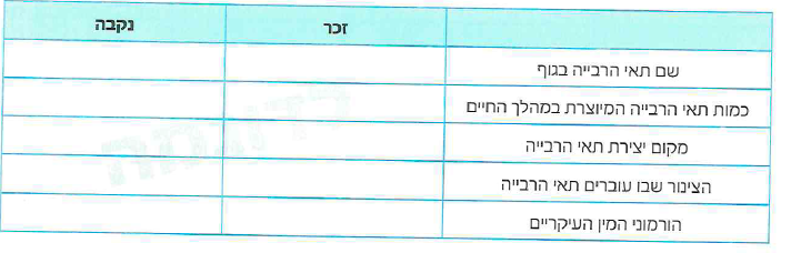 (בספר תרשים, התרשים מופיע כטקסט)